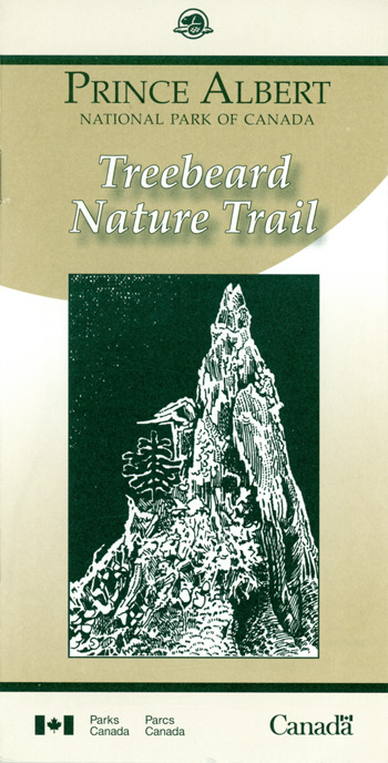 brochure cover