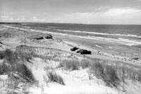 PEI National Park, Cars park on beach circa 1940