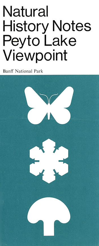 brochure cover