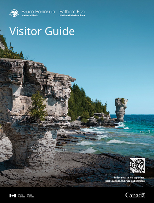 brochure cover