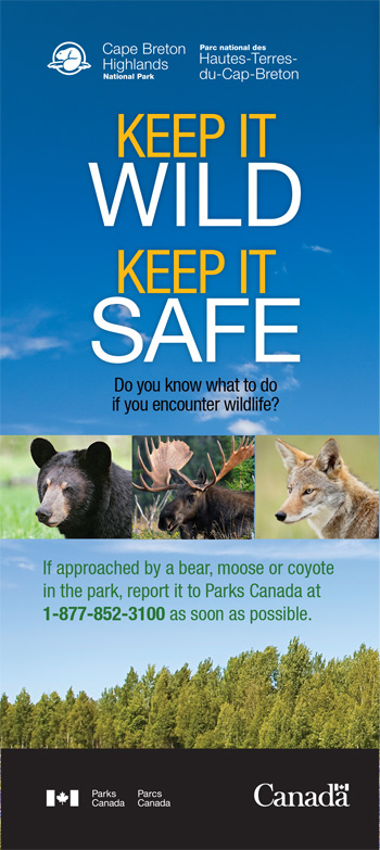 brochure cover