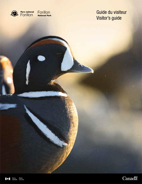brochure cover