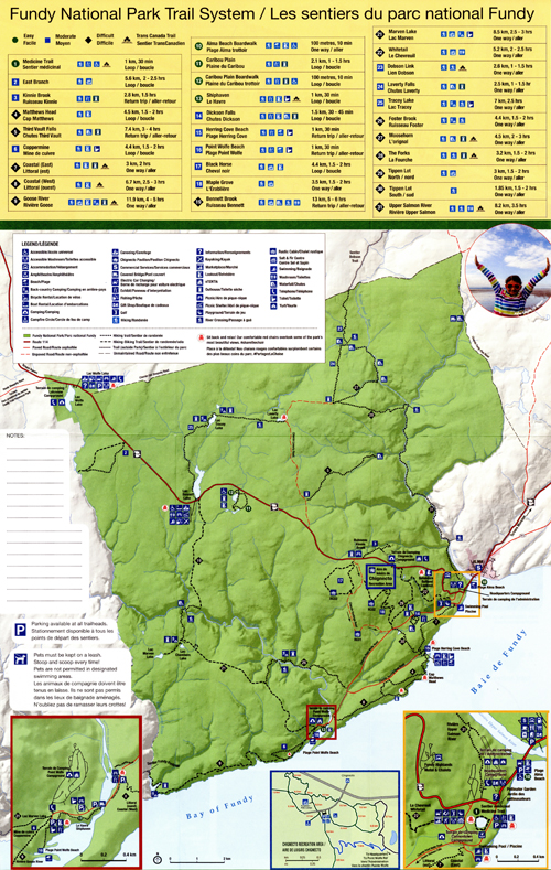 brochure cover