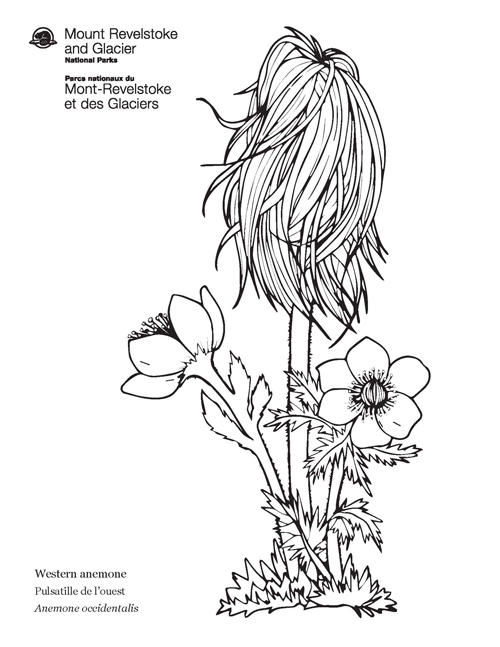 brochure cover