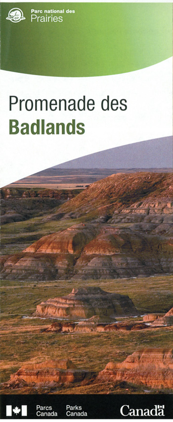 brochure cover