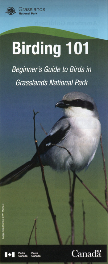 brochure cover