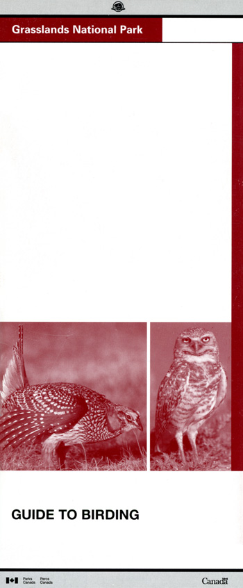 brochure cover