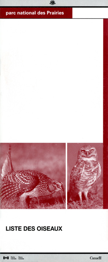 brochure cover