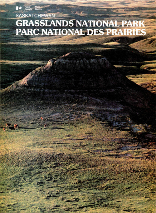 brochure cover