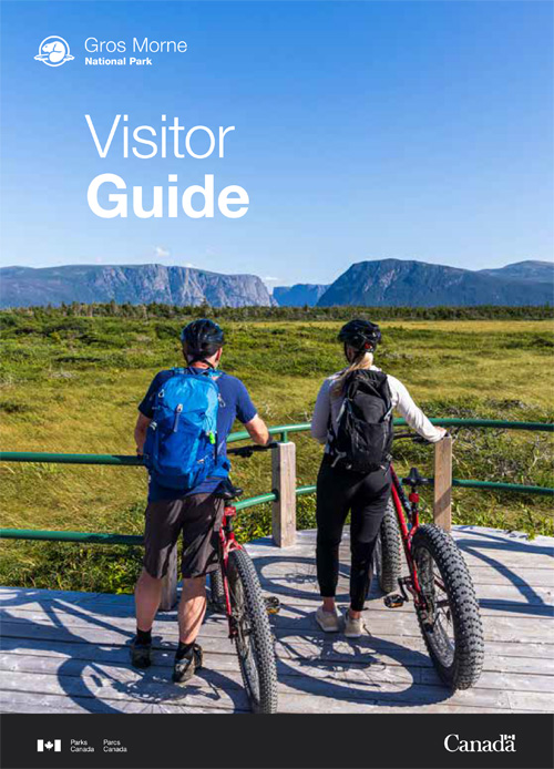 brochure cover