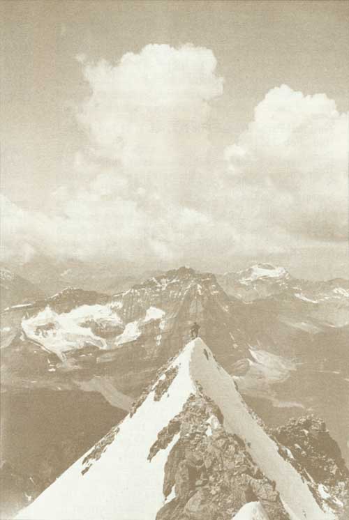 summit of Mount Victoria