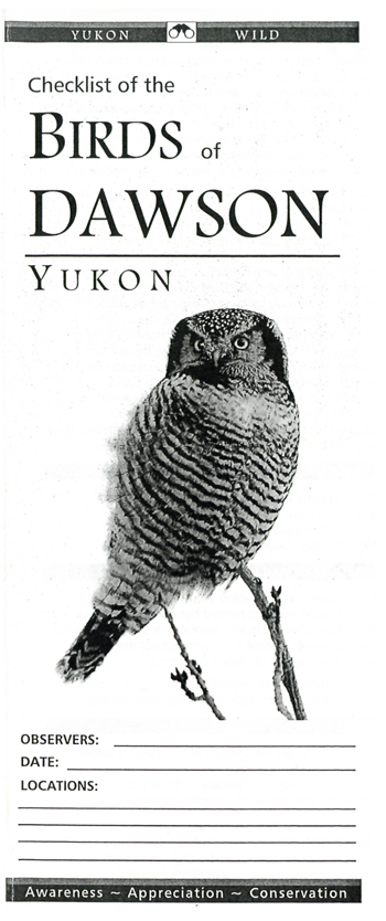 brochure cover