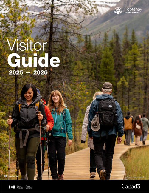 brochure cover