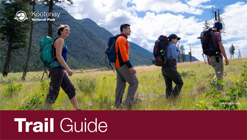 brochure cover