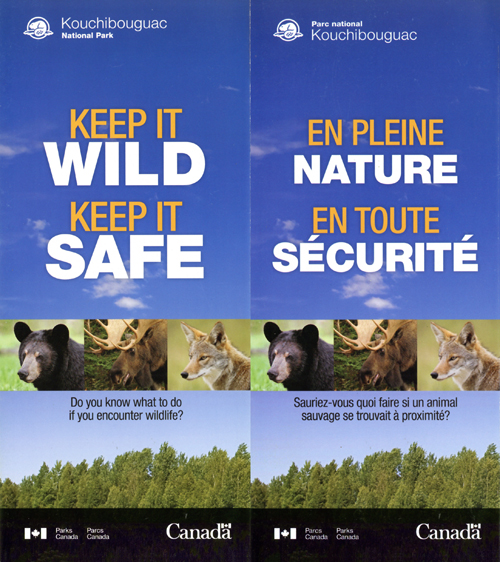 brochure cover