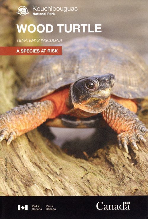 brochure cover