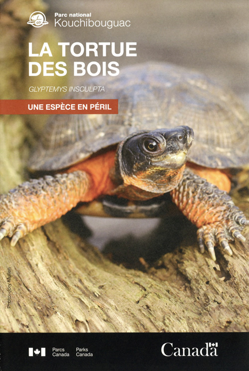 brochure cover