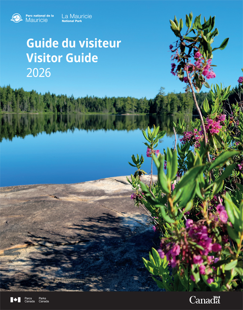 brochure cover