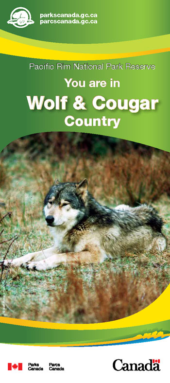 brochure cover