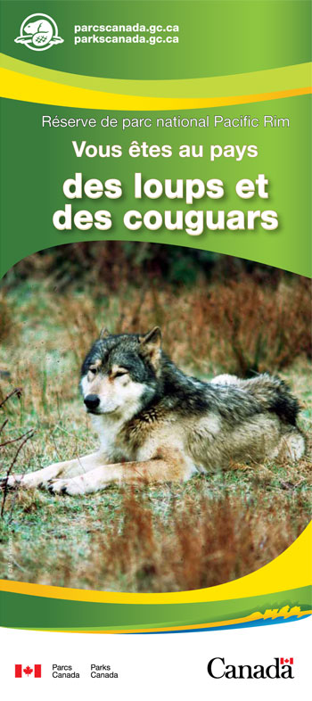 brochure cover