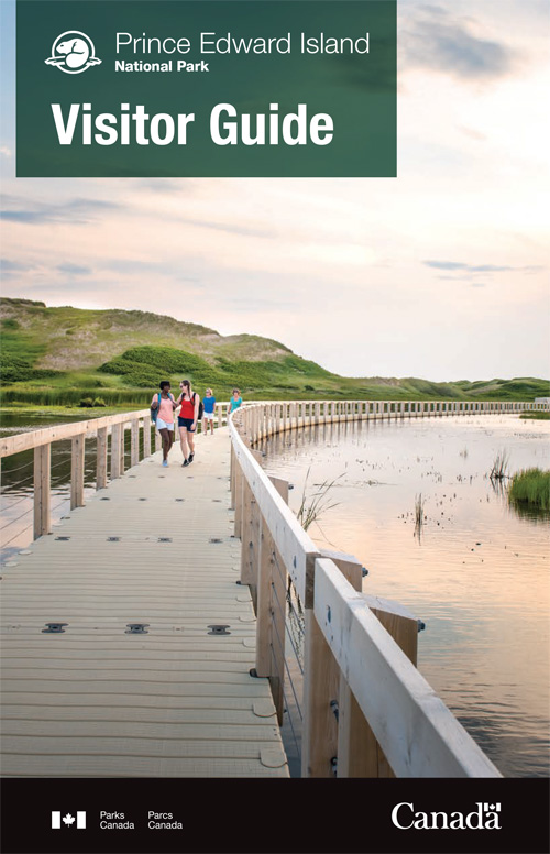 brochure cover
