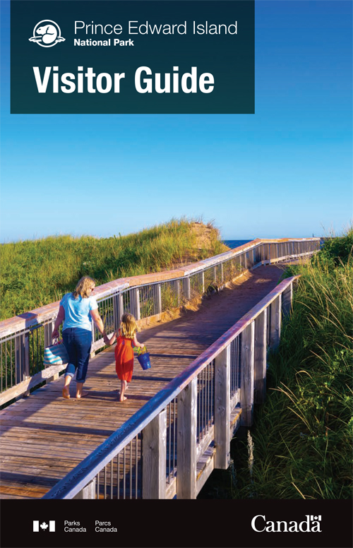 brochure cover