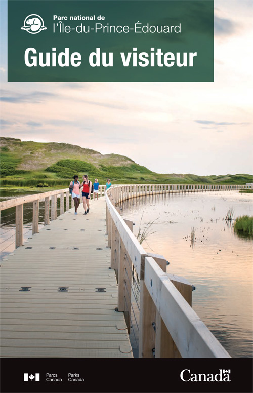 brochure cover