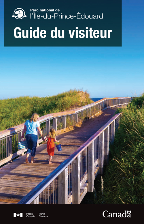 brochure cover