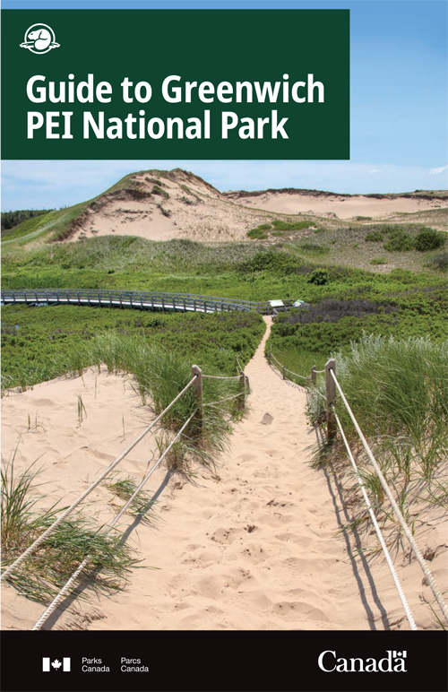 brochure cover