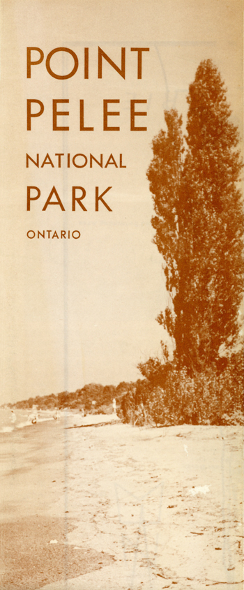 brochure cover