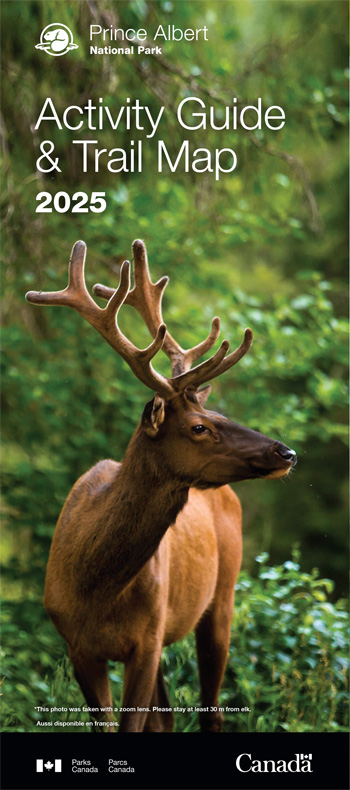 brochure cover