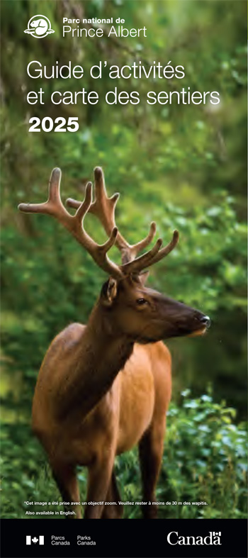 brochure cover