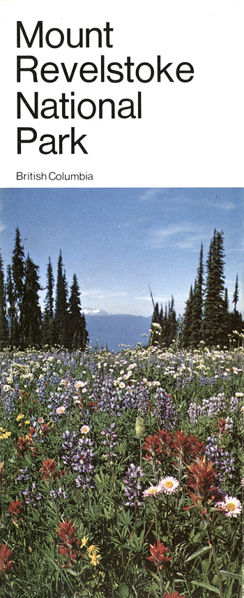 brochure cover