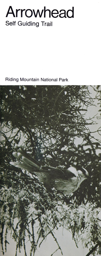 brochure cover