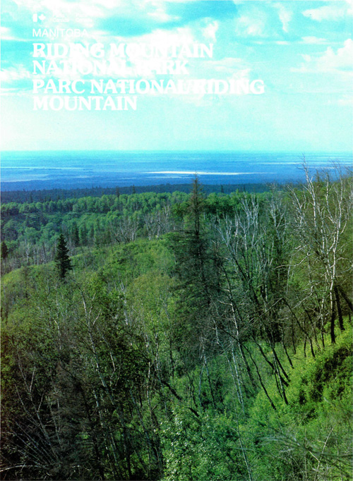 brochure cover