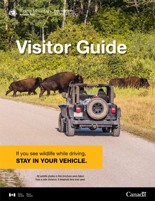 brochure cover