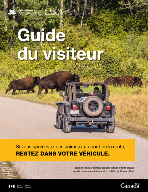 brochure cover