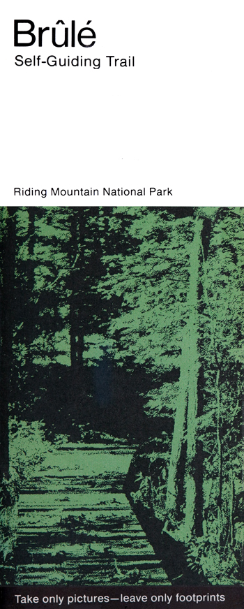 brochure cover