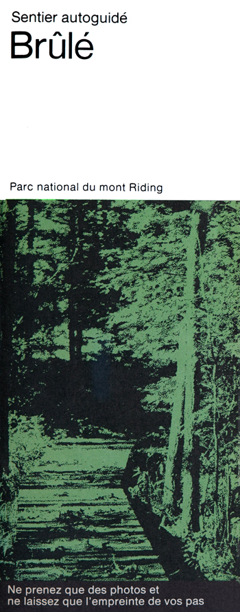brochure cover