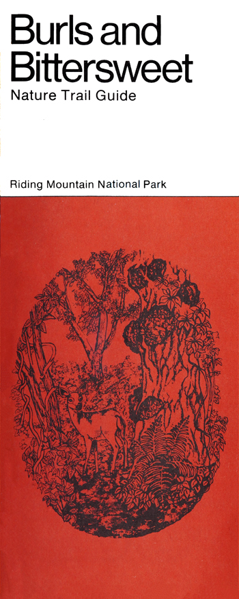brochure cover