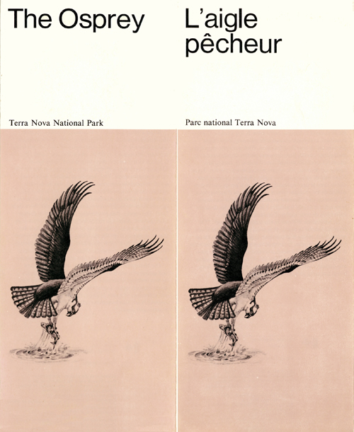 brochure cover