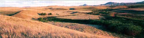 Bear Paw Battlefield
