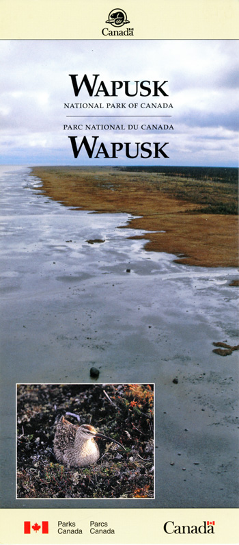 brochure cover