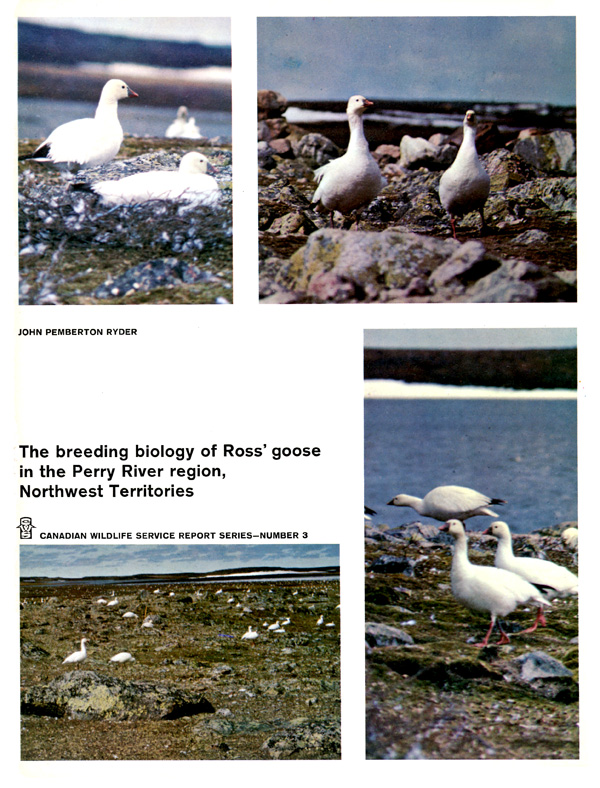 History of Parks Canada: Wildlife (Canadian Wildlife Service and Parks  Canada)